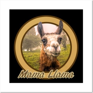 Funny Mama Llama Posters and Art